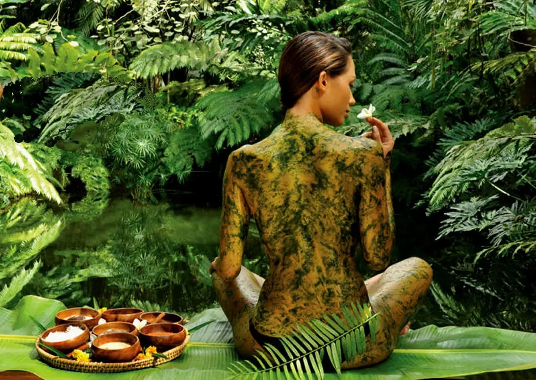 WellnessTravel3